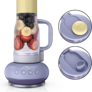Smoothie Blender